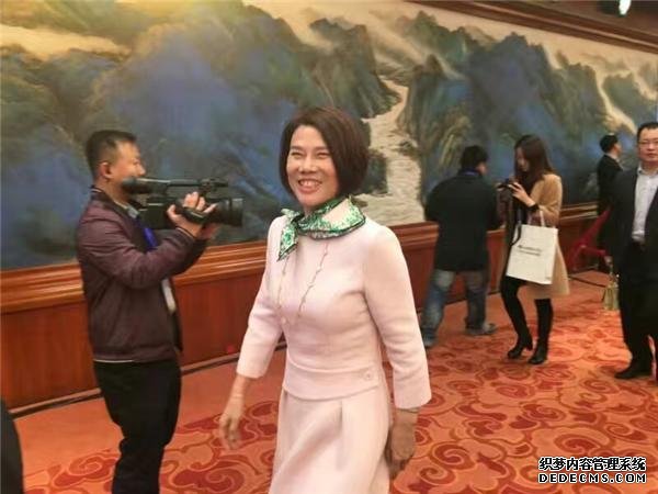 新能源汽車,格力,董明珠,萬達 新能源汽車,格力,董明珠,萬達